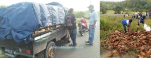 Akhirnya Sopir Pembuang Sampah Buah Kelapa, Ditangkap Anggota GKPC