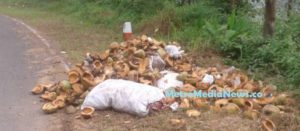 Siapa yang buang sampah buah kelapa di Naringgul ?