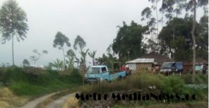 Pencabulan terhadap gadis bisu, Siapa Pelakunya?