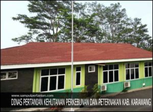 Distan Karawang Diminta Sidak Distributor PSC