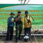 Tanggap Darurat Serangan Hama Wereng, IPB Buka Klinik di Subang IMG-20170814-WA0017