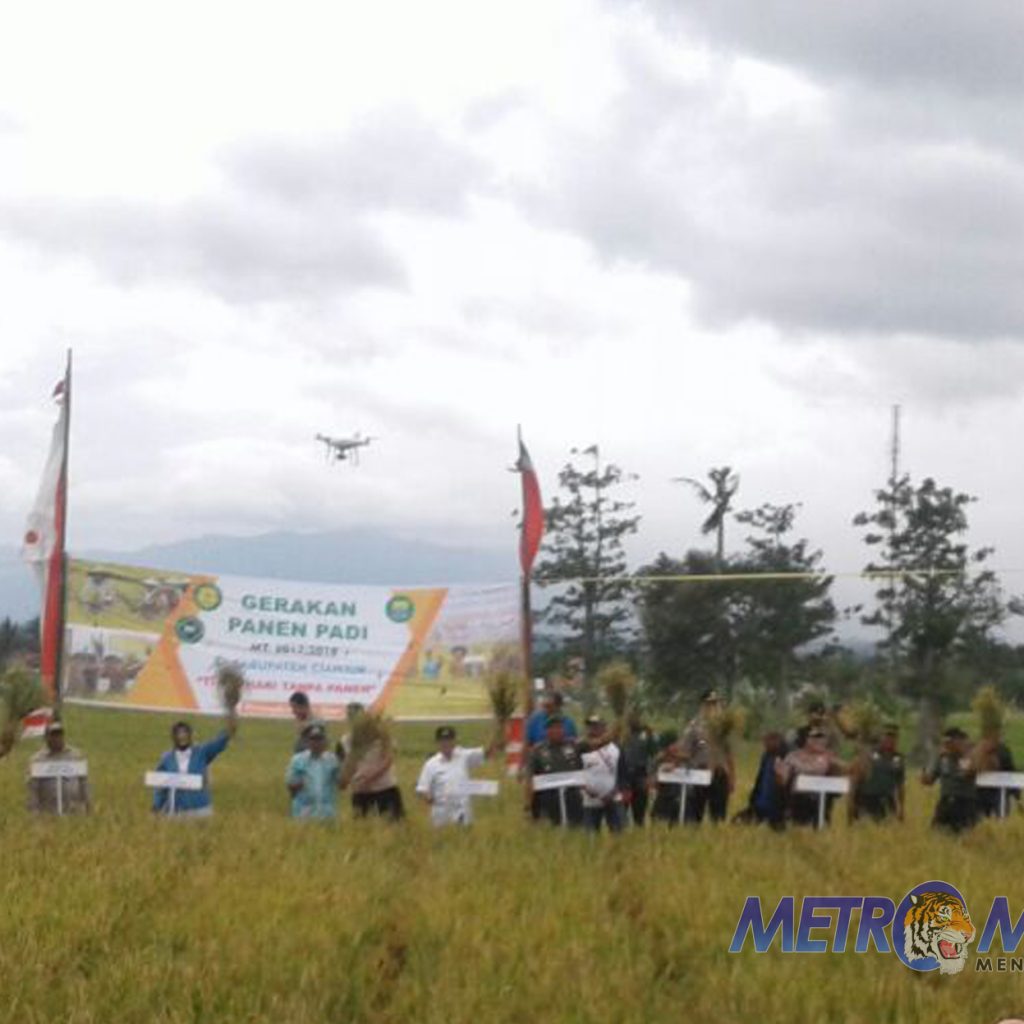 Badan Karantina Pertanian Jabar Gelar Gerakan Panen Padi di Kampung Gentur