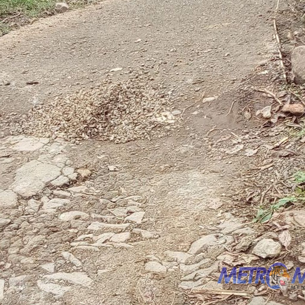 Diduga Reliasi DD Tahap 2 Desa Batu Lawang Cipanas Cianjur Sarat Dengan Korupsi
