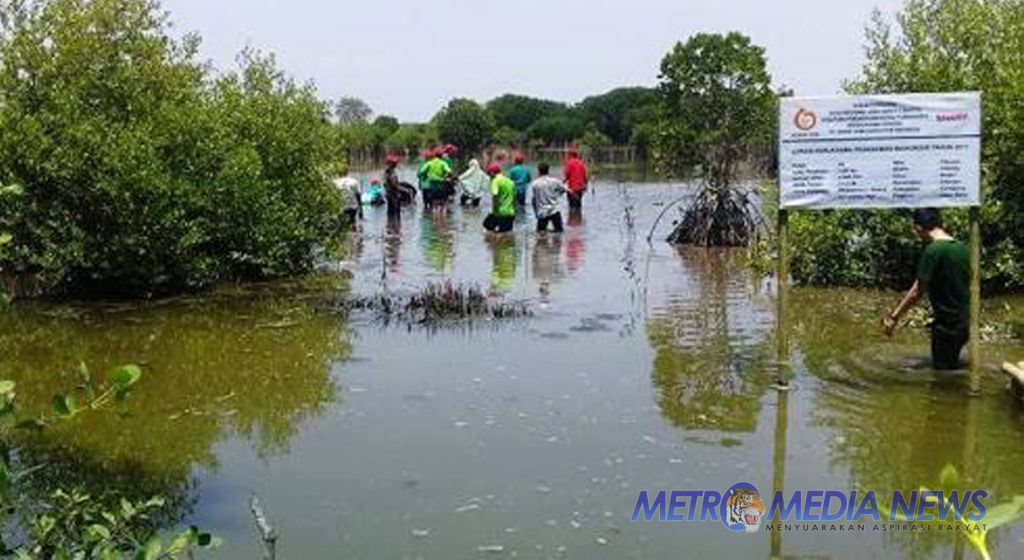 Pengurugan Lahan Perhutani BKPH Cikiong KPH Purwakarta di Pertanyakan