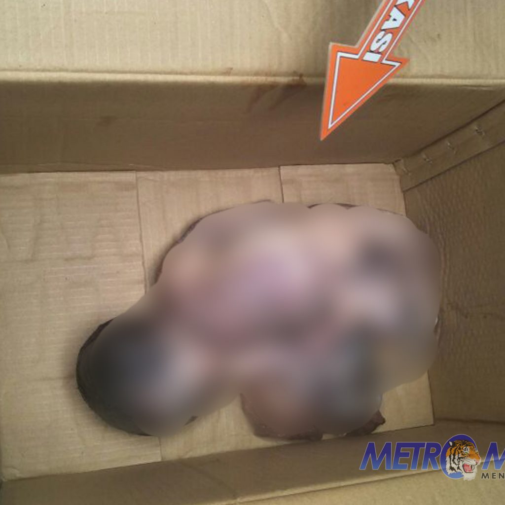 Reskrim Polsek Kemayoran Berhasil Ungkap Kasus Penemuan Jasad Bayi