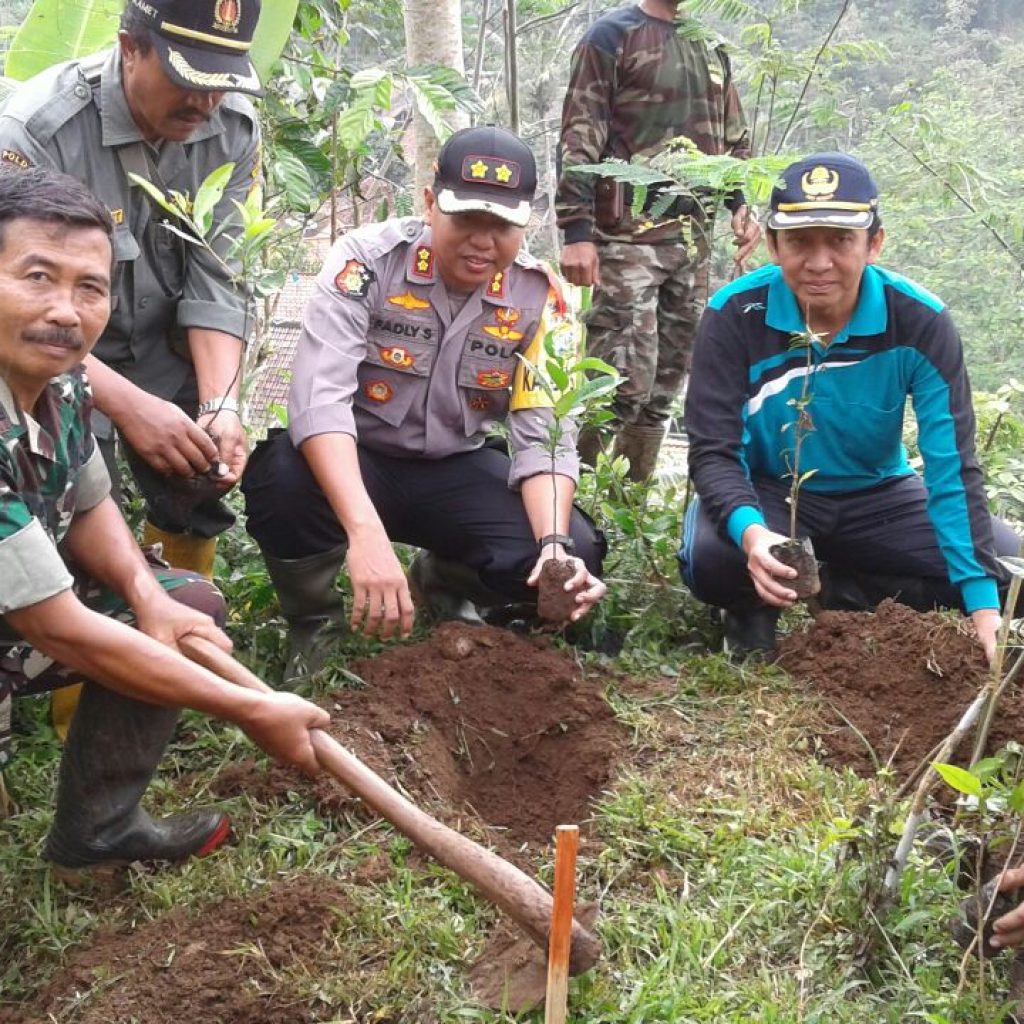 Kapolres Probolinggo dan Muspika Tanam 200 Bibit Pohon Sengon dan Pohon Salam