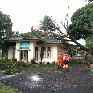Puluhan Rumah Rusak Diterjang Angin Puting Beliung