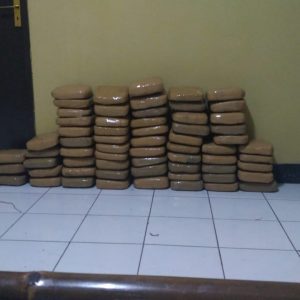 Polsek Cugenang Gagalkan Pasokan Ganja Kering 125 Kg