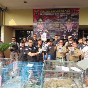 Polres Jakbar Berhasil Ungkap Penjual Satwa Langka Melalui Medsos