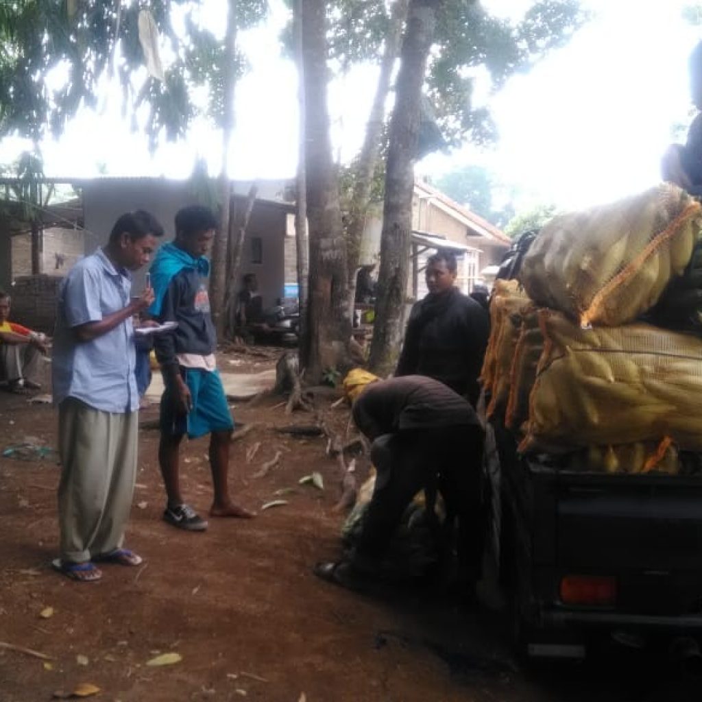 Musim Panen Bersamaan, Banyak Petani Jagung Merugi