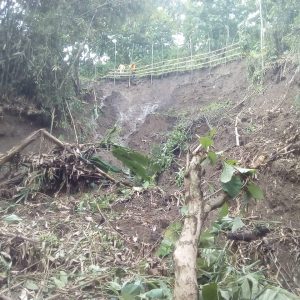 Jalan Desa Muara Cikadu Sindang Barang Tertutup Longsor