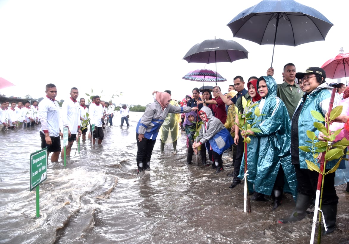 Hujan Tidak Menghalangi Ibu Negara Tanam Mangrove IMG-20190311-WA0089.jpg