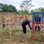 Ratusan Peserta Meriahkan Kontes Ayam Pelung Anang Sungkawa Cup 1 IMG-20190330-WA0083.jpg