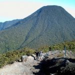 Sempat Ditutup Puncak Kemarau, Pendakian TNGGP Kembali Dibuka IMG_20190821_185839.jpg