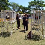 Ayam Pelung Khas Cianjur Ingin Mendunia IMG-20190901-WA0029.jpg