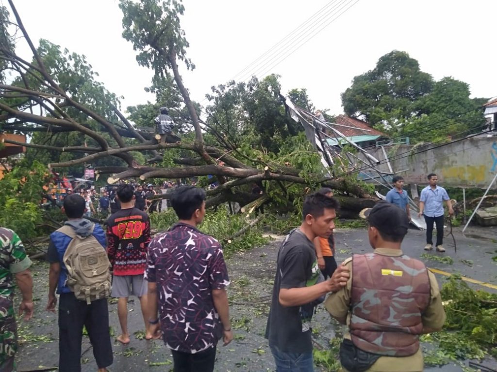 Hujan Deras di Cianjur Tumbangkan 7 Pohon