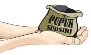 Pupuk Bersubsidi Tak Terjangkau, Petani Mengeluh