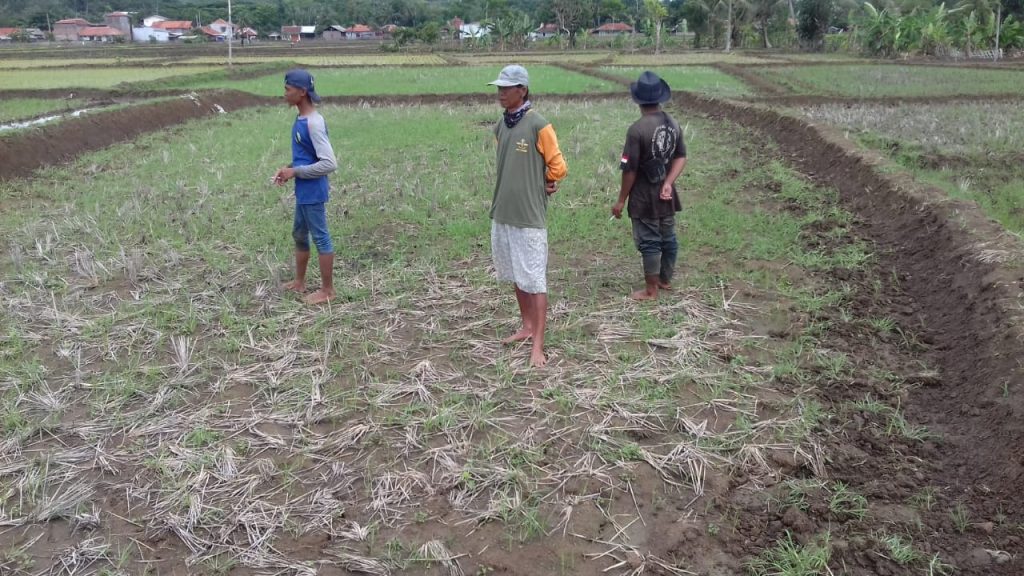 Sejumlah Wilayah di Cianjur Selatan Masih Alami Kekeringan
