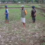 Sejumlah Wilayah di Cianjur Selatan Masih Alami Kekeringan IMG-20200103-WA0024.jpg