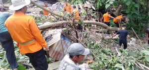 Pohon Tumbang Timpah Rumah Warga akibat Hujan Deras Disertai Angin Puting Beliung di Kampung Tanjung Raja Giham