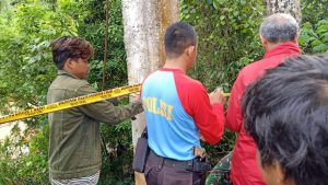 Tragedi Jembatan Gantung Putus di Dusun Pana, ini Penyebabnya