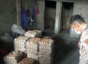 Polisi Gerebek Pabrik Kue Pakai Telur Busuk di Lumajang