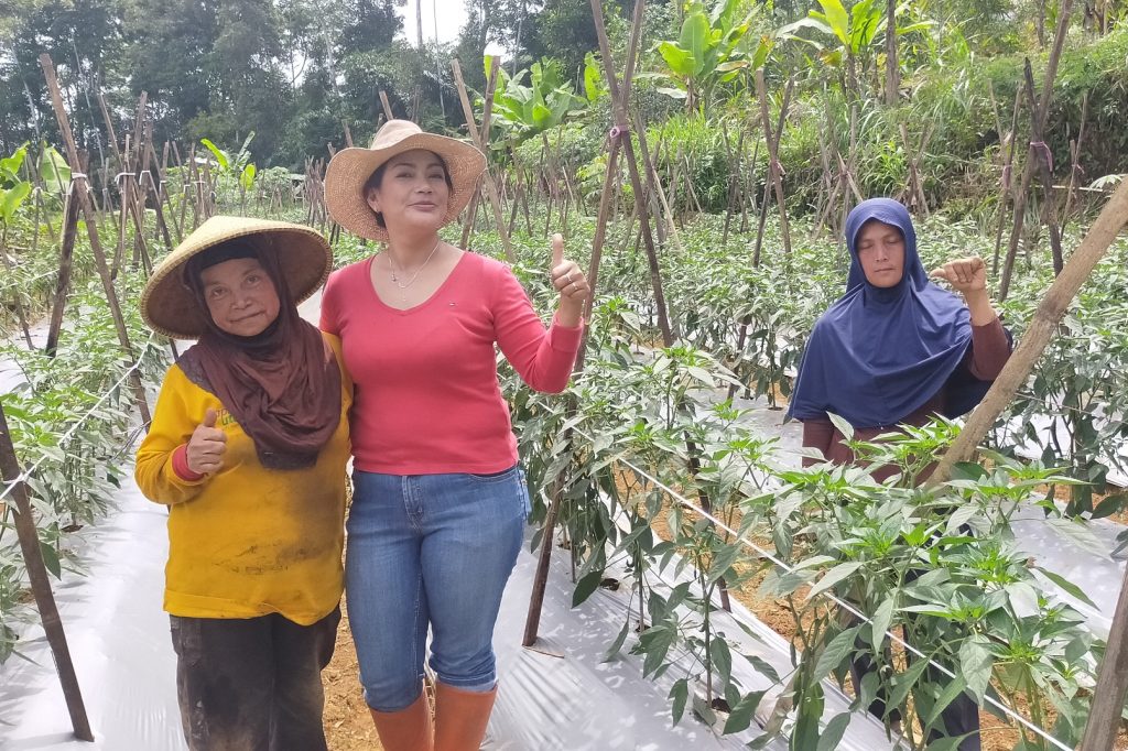 Elsa Heimbach, Kartininya Cianjur Selatan yang Sukses Menjadi Seorang Petani Cabai