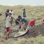 Tulang Belulang Ikan Hiu Paus yang Terdampar di Cidaun Dikuburkan IMG-20200926-WA0074.jpg