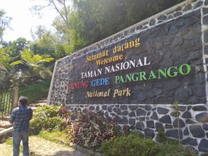 Viral, Foto Dua Pemuda Telanjang di Alun Alun Suryakancana, Ini Penjelasan TNGP
