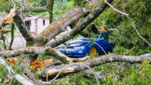 Pohon Tumbang Menimpa Satu Mobil dan Petugas Vila