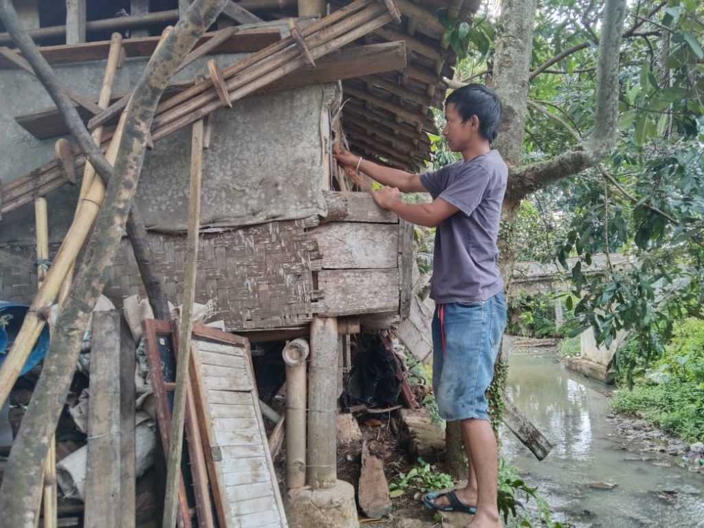 Waspada! Kawanan Pencuri Ternak Domba Berkeliaran