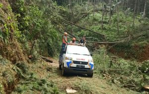 PLN Perbaiki Jaringan Listrik yang Diterjang Angin Puting Beliung