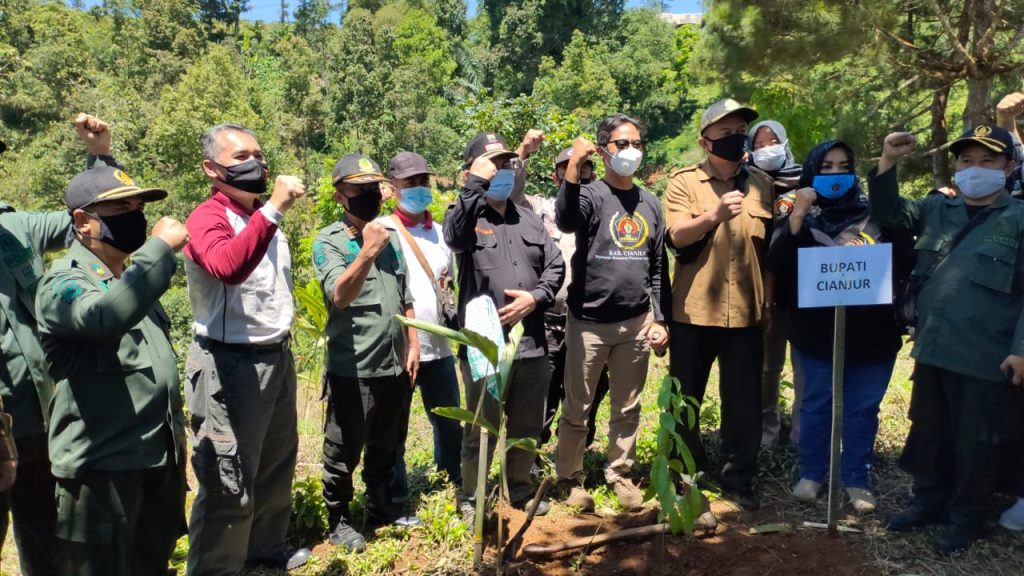 HPN 2021, PWI Bersama Perhutani Cianjur Tanam Pohon Seluas 5 Hektar