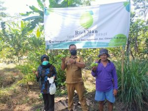 Budidaya Jambu Crystal di Desa Karyabakti akan Dijadikan Ikon Wisata Buah