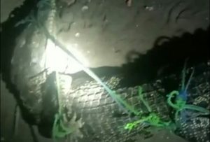 BBKSDA Jabar Resort Gunung Simpang Benarkan Telah Amankan Seekor Buaya