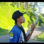 Boncleng, Sang Penakluk Ular Berbisa Asal Naringgul IMG-20210423-WA0123.jpg