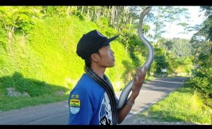 Boncleng, Sang Penakluk Ular Berbisa Asal Naringgul