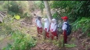 Miris 13 Siswa Didua Kampung di Naringgul Melewati Jembatan Gantung Bambu Kali Cikondang