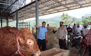 Antisipasi Wabah PMK, Polres Cianjur Bersama Dinas Peternakan Pantau Peternakan Sapi