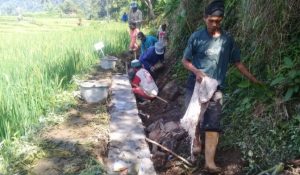 Pembangunan Irigasi Mira Asih Naringgul Dikebut dengan Melibatkan Warga