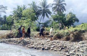Pasca Jebolnya Tanggul Kali Cicadas Cijati, Puluhan Hektar Sawah Warga Terancam Gagal Panen