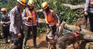 Pencarian dan Evakuasi Korban Gempa Cianjur oleh Tim SAR K9 Polda Jabar Terus Dilakukan
