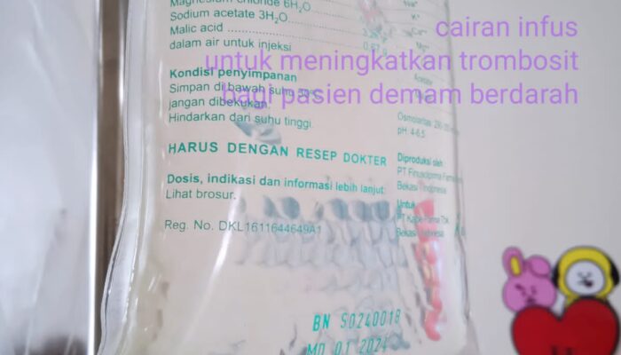 Darurat Serangan Demam Berdarah Di Tengah Suka Cita Idul Fitri