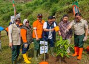 Peringati Hari Bumi, Kang Ace Tanam Ribuan Pohon di Bandung Barat