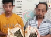 Tim Opsnal Satresnarkoba Polres Aceh Tamiang Berhasil Amankan 2 Kg Ganja