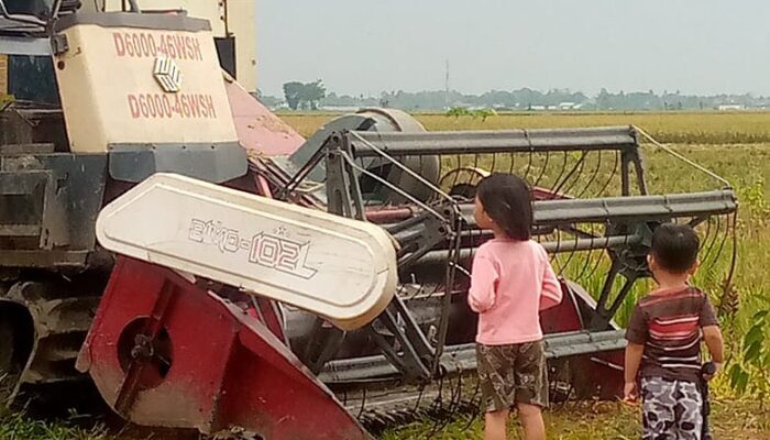 Area Persawahan di Pemalang Jadi Tempat Edukasi Anak dan Kurangi Kecanduan Gadget