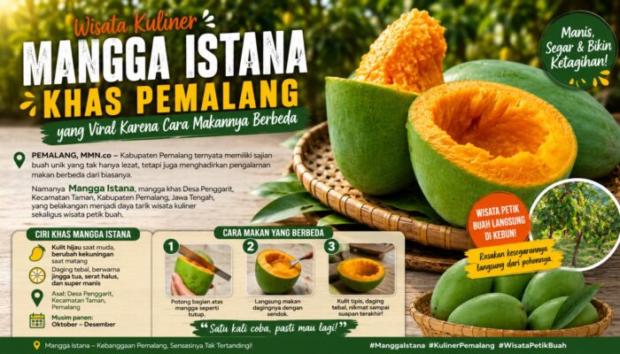 Sensasi Unik Makan Mangga Istana Pemalang, Cukup Diputar Tanpa Dikupas