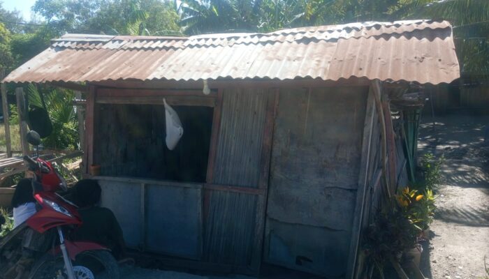 Janji Relokasi Dipertanyakan, Warga Eks-Timtim Soroti Penggusuran Lapak di Civic Center