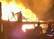 Kandang Ayam di Pemalang Selatan Ludes Terbakar, Kerugian Ditaksir Rp2,2 Miliar
