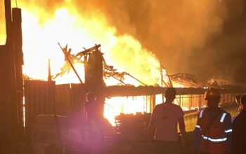 Kandang Ayam di Pemalang Selatan Ludes Terbakar, Kerugian Ditaksir Rp2,2 Miliar